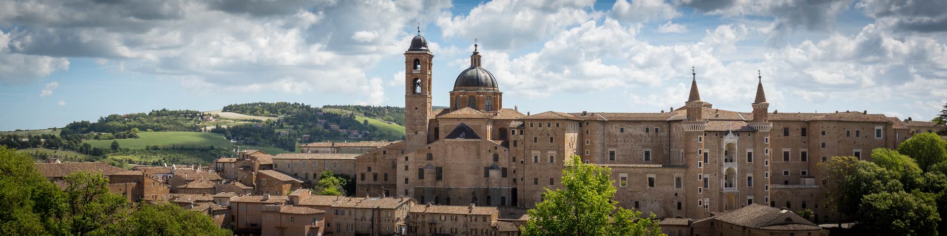Urbino 6